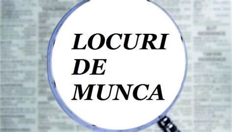 munca suceava|Locuri de munca in judetul Suceava